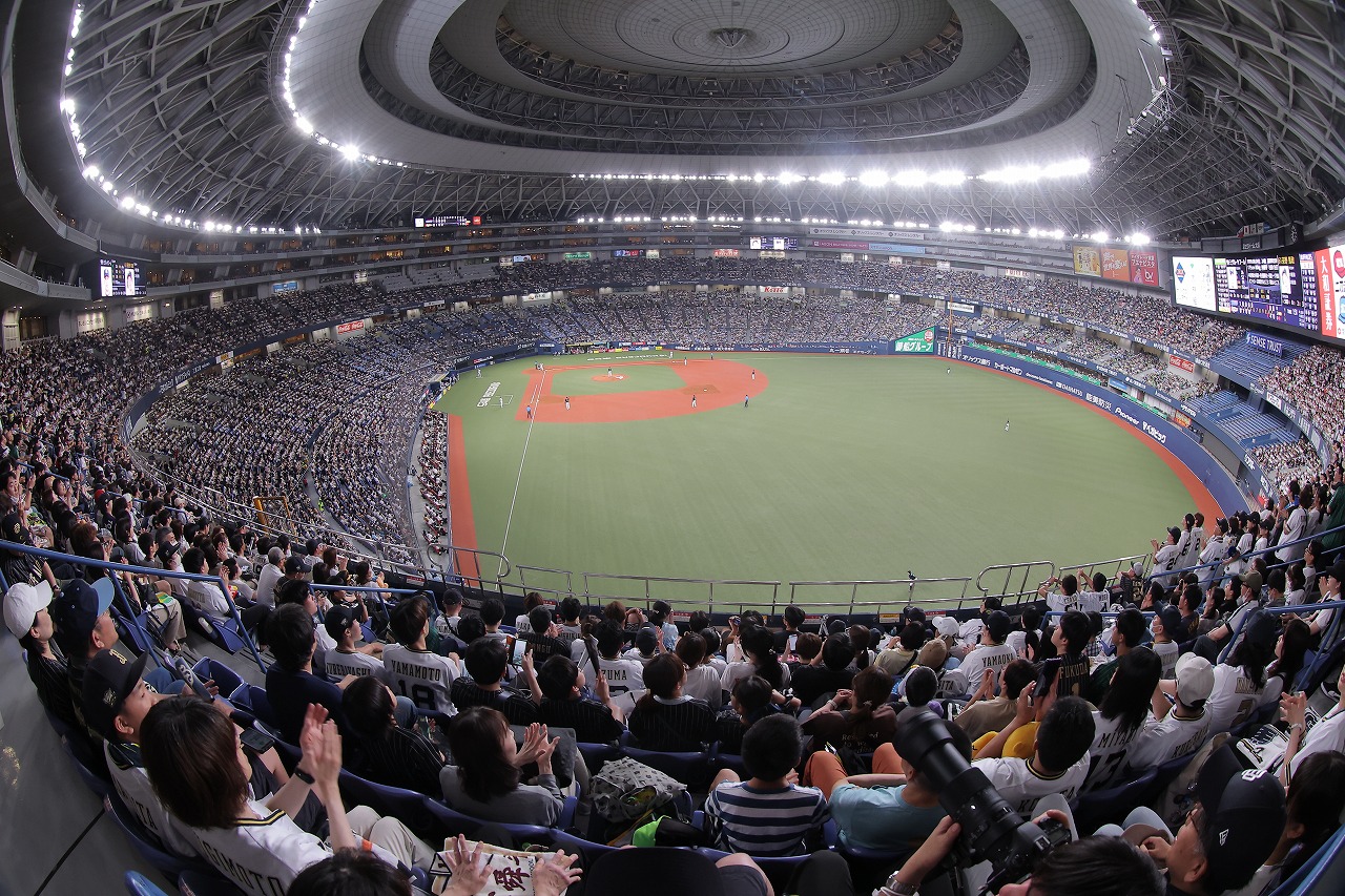 Buffaloes Stadium Photo